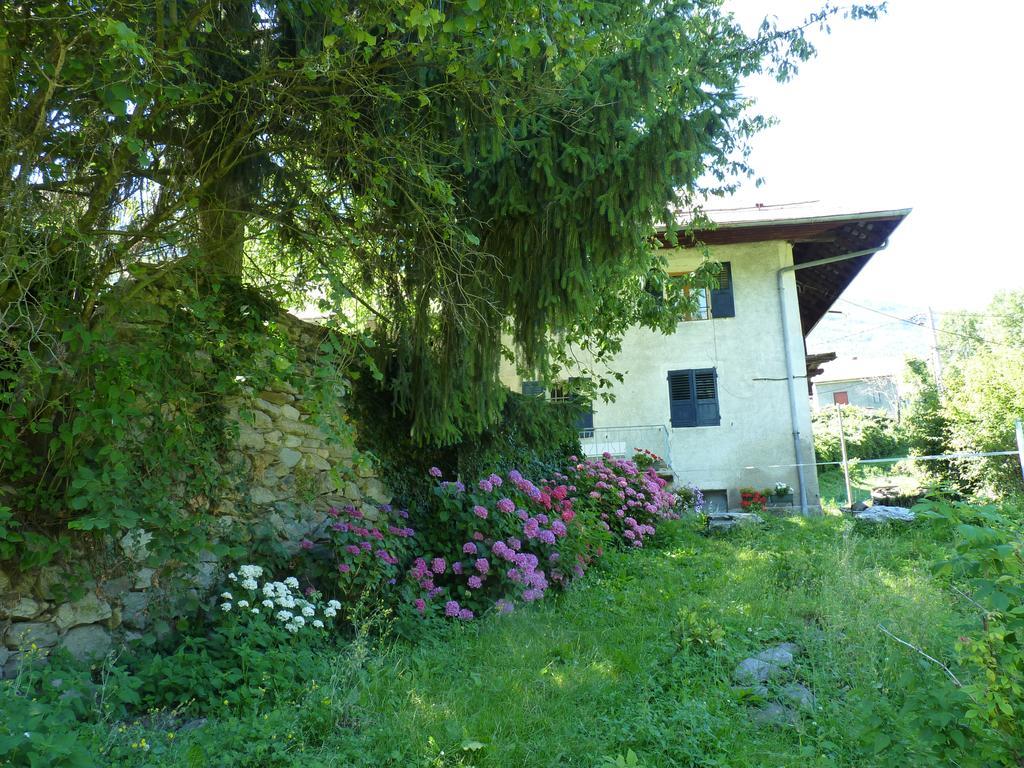 Domaine De La Safraniere - Chambre D'Hote Saint-Leger  Exterior photo